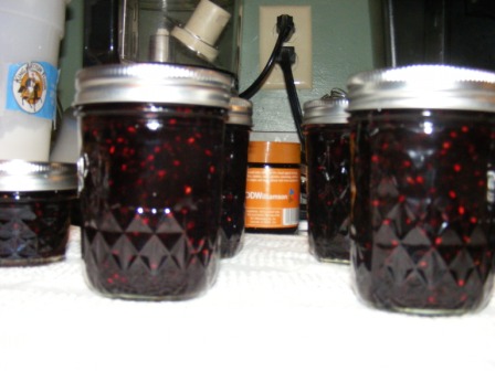 Blackberry Cabernet Jam
